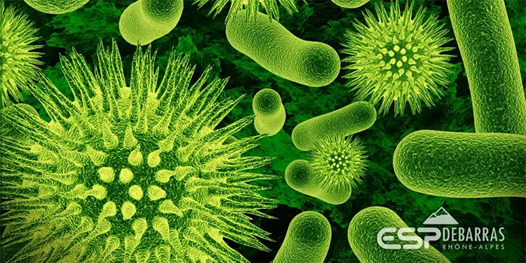 Nettoyer et désinfecter par nébulisation pour supprimer entres autres les bactéries