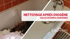 Nettoyage de salle de bain sur Cran-Gevrier après un Diogène